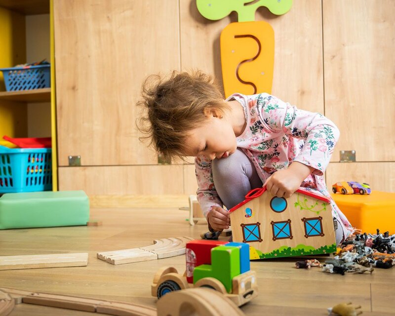 Alfred Fronius - Gradinita si afterschool in limba germana Bucuresti